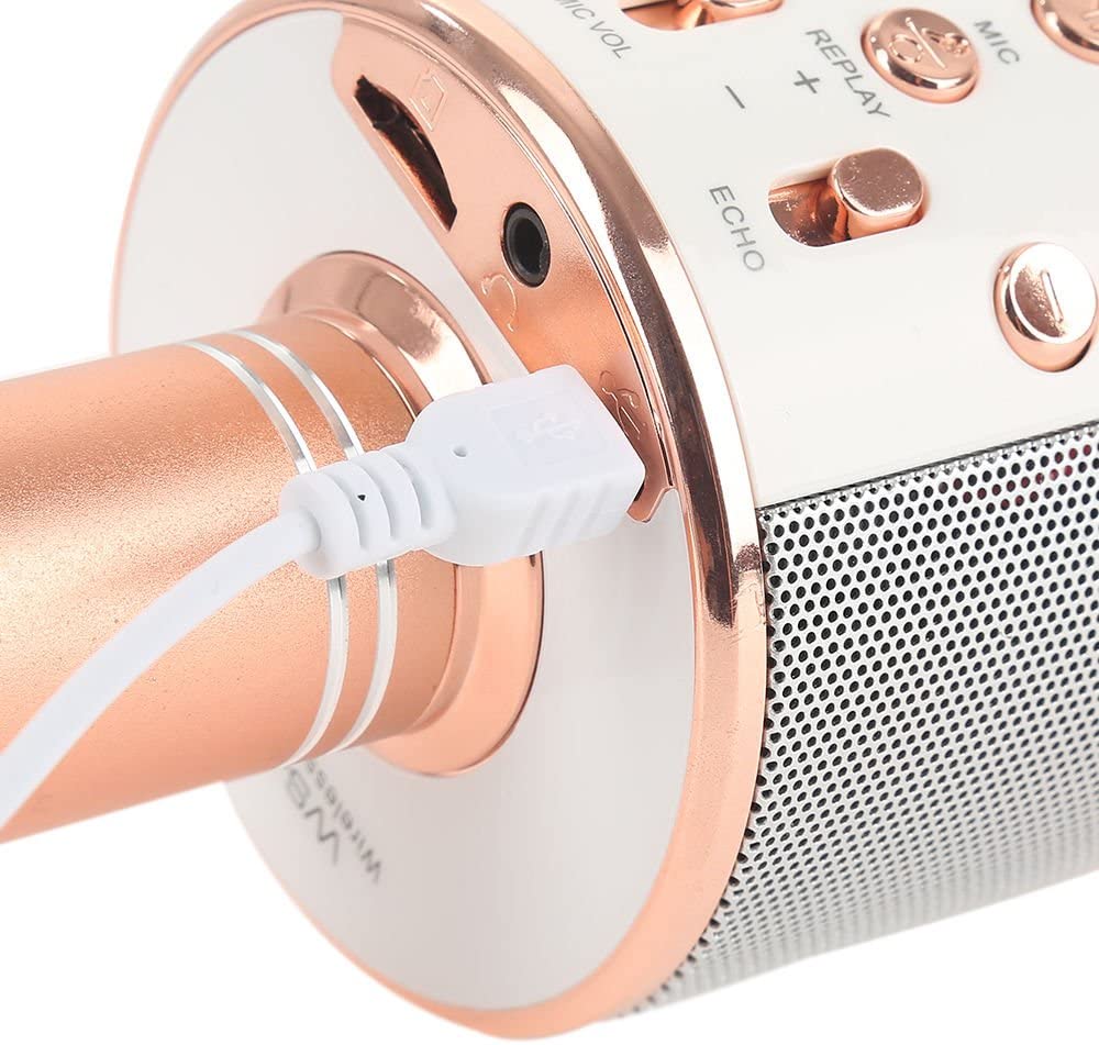 Genuine High Quality Version Wiser microphone Speaker Genuine High Quality Version Wiser microphone Speaker